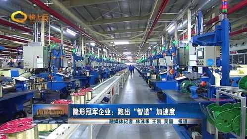 隐形冠军企业 跑出 智造 加速度