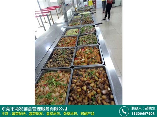 茶山中学食堂承包资质工厂*_龙发膳食