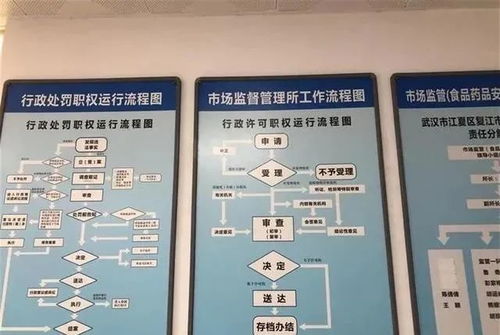 问责来了 跟办理食品经营许可证有关